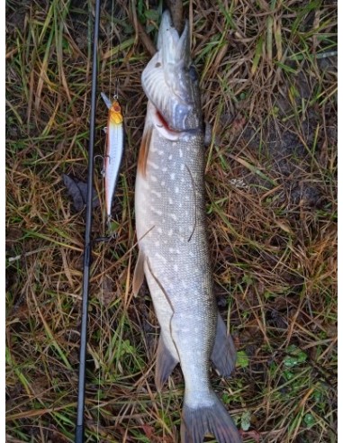 Воблер Wlure Oneten 115SS, 11,5см,...