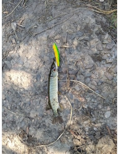 Воблер Wlure Orbit 80SS, 8см, 8,5г,...