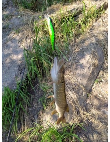 Воблер Wlure Orbit 80SS, 8см, 8,5г,...