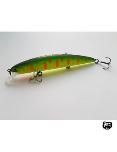 Bearking Varuna 110SP (O.S.P....