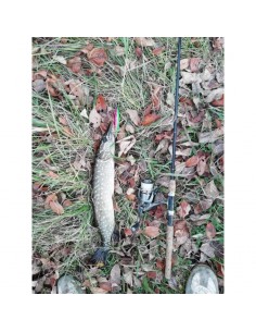 Воблер Bearking Varuna... 2