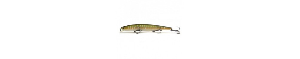 Bearking JungleCat 140SP (Fishycat JungleCat)